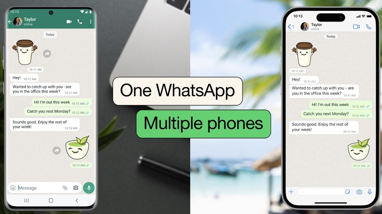 WhatsApp multi-device demo