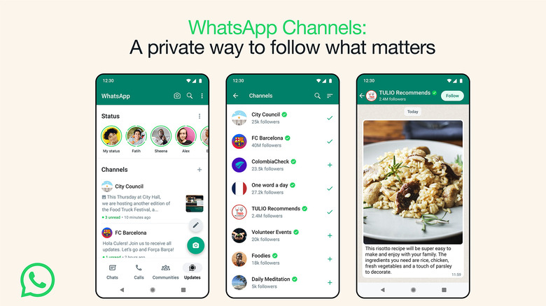 WhatsApp Channels