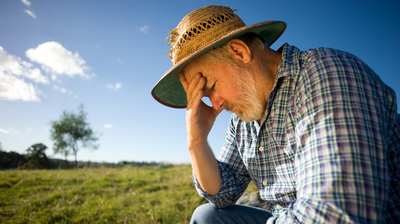 A Frustrated Farmer