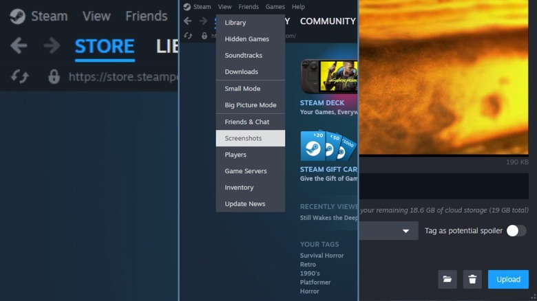 steps to locating the Steam Screenshot Manager tab