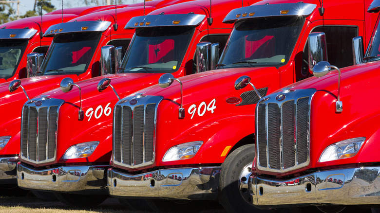 Peterbilt trucks lined in a row