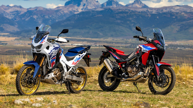 White and red 2024 Honda Africa Twins parked on grass