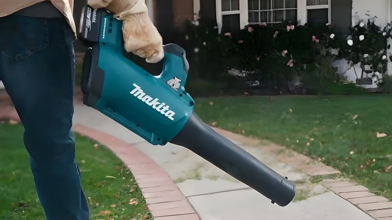 Using Makita blowe on front yard