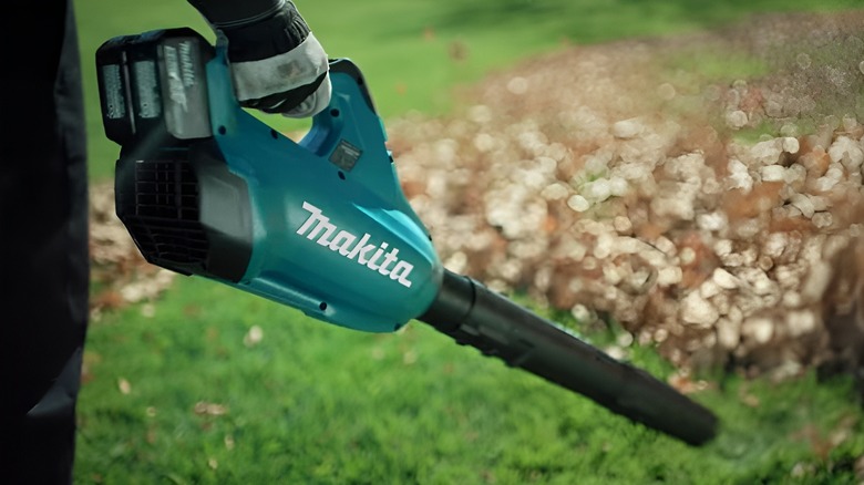 Blower being used on leaves