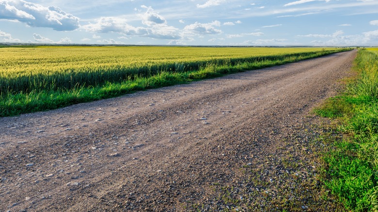 A gravel road