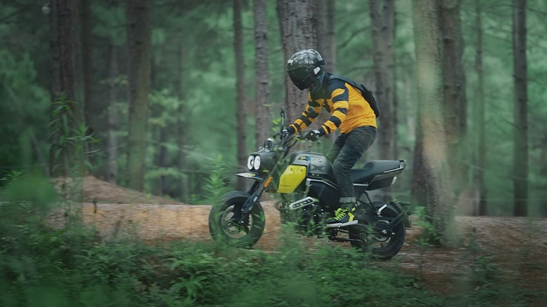 Papio XO Trail motorcycle