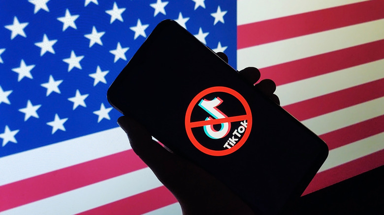 A red Ban notification and the crossed-out TikTok app logo