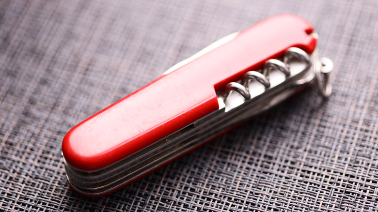 A closed Swiss Army Knife sitting on a surface.