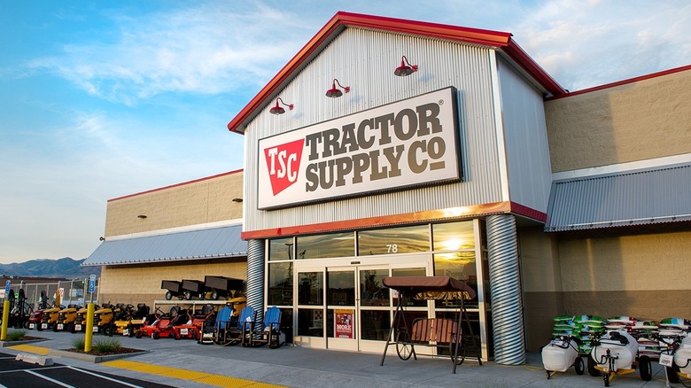 A Tractor Supply storefront reflecting the sun.