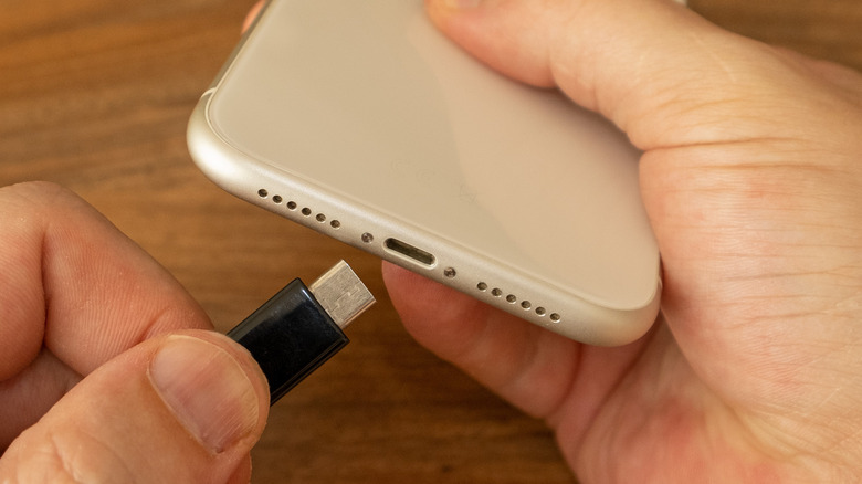 A USB-C connector and an iPhone. 