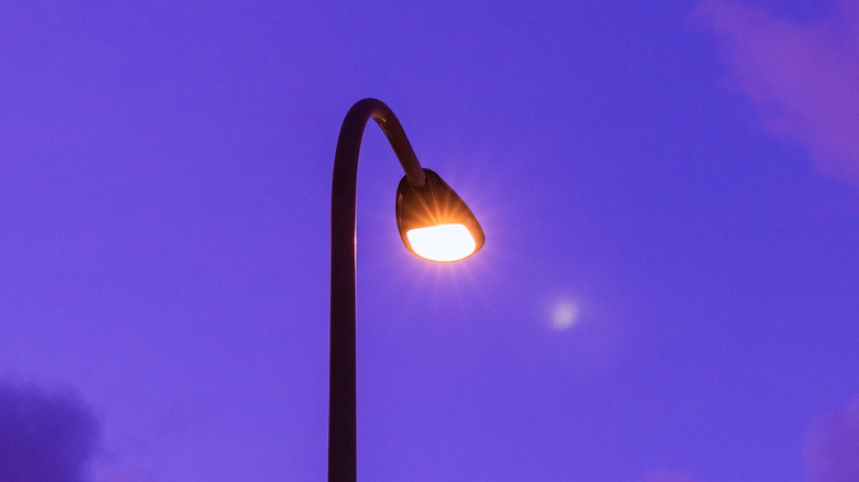 A street light below a purple sky.