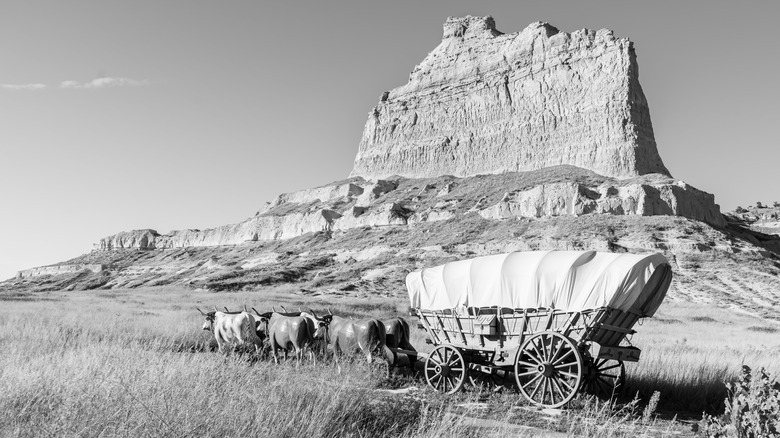 Oxen pull a Conestoga covered wagon on the Oregon Trail, at Mitchell Pass, Scotts Bluff National Monument, near Eagle Rock and Scottsbluff, Nebraska.