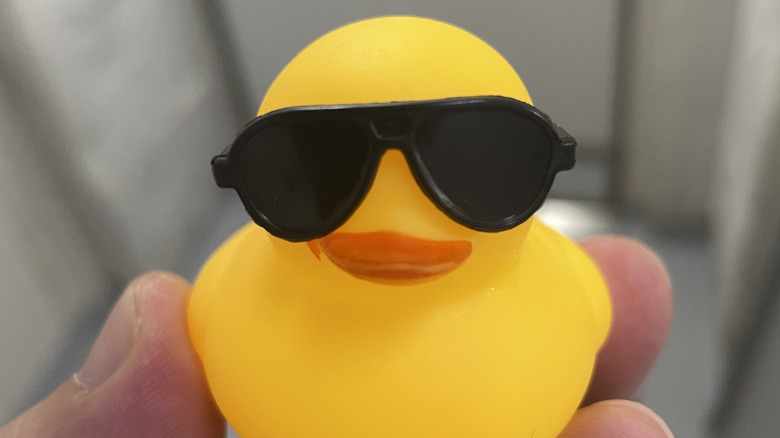 Person holds rubber duck in sunglasses