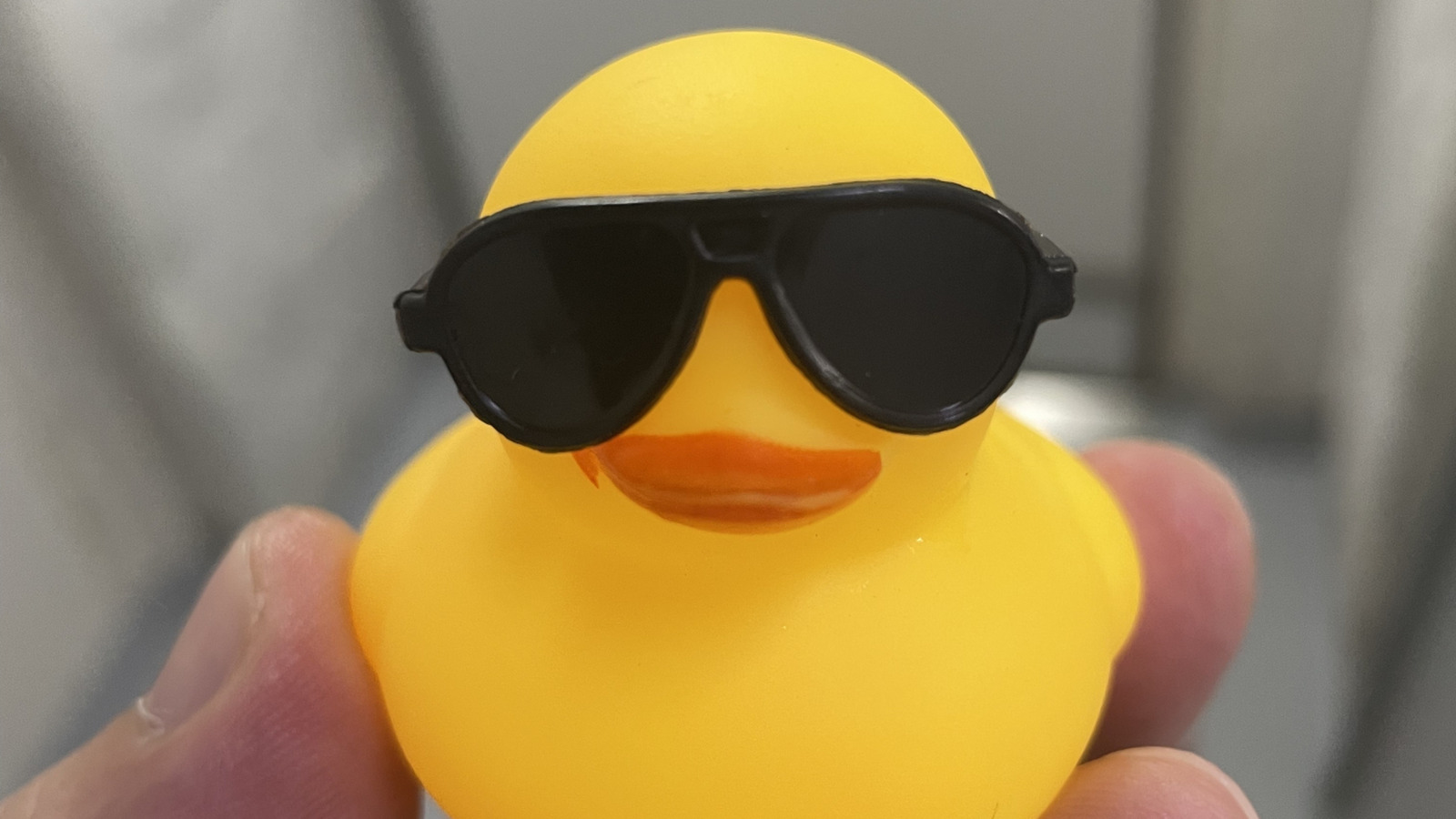 Why Do People Hide Rubber Ducks On Cruise Ships?