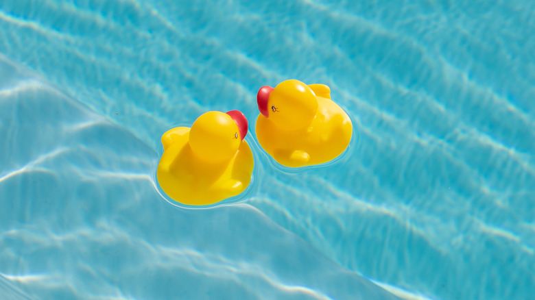 Two rubber ducks floating on water