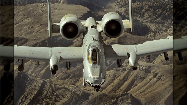 An A-10 Warthog with shark smile