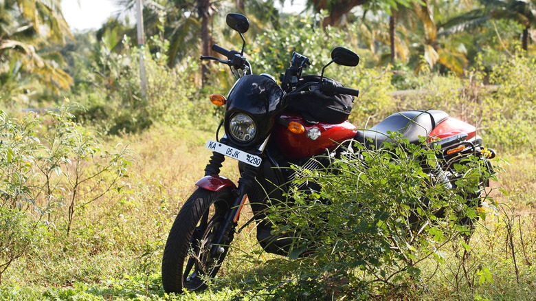 Harley-Davidson Street 750 in bushes