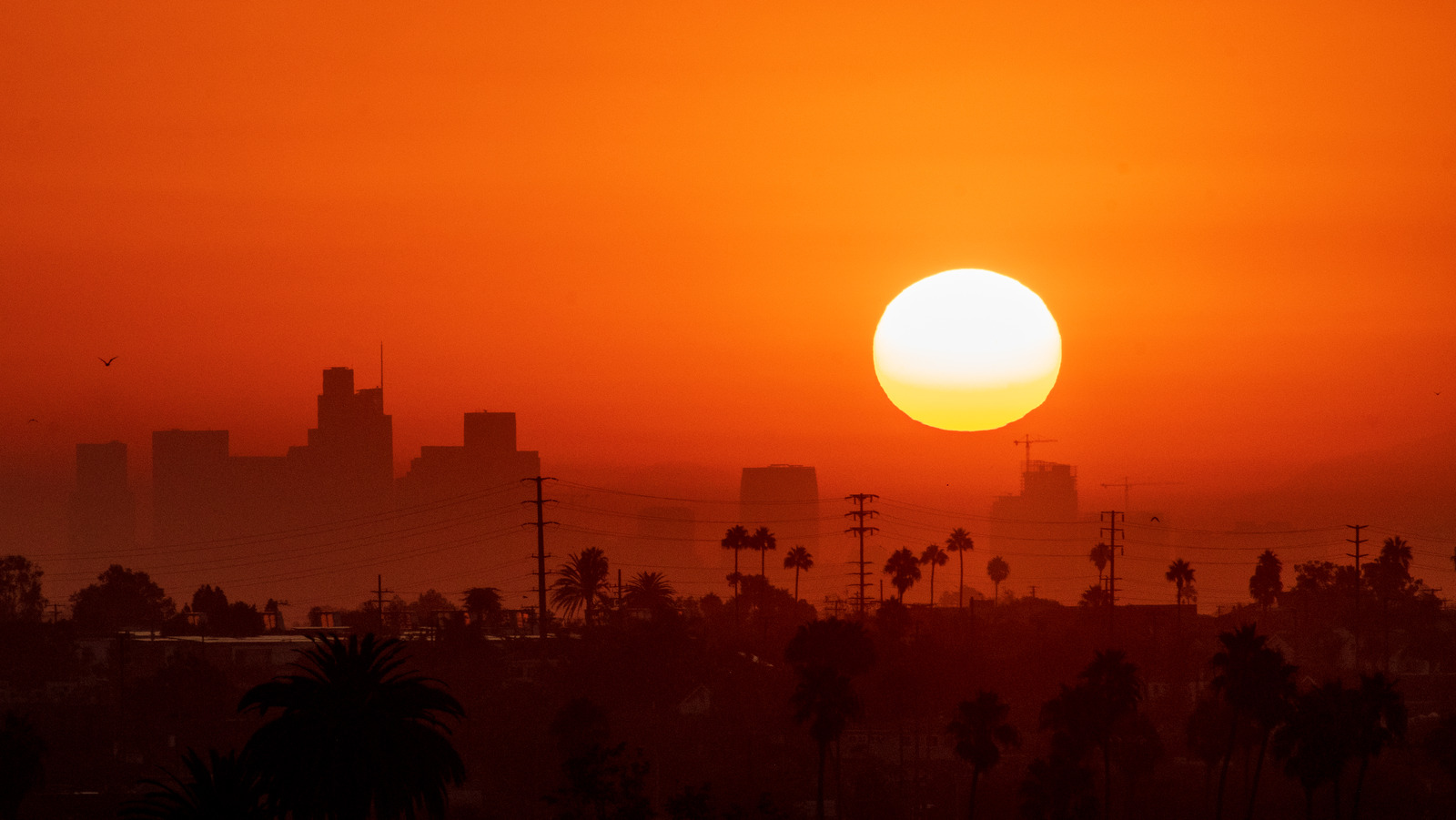 Why Heat Waves Can Cause Power Outages (And What You Can Do About It)