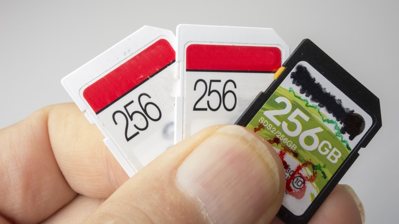 person holding three SD cards