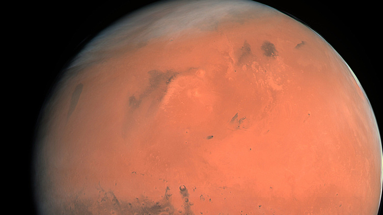 A true-color image of Mars taken by the OSIRIS instrument on the European Space Agency's Rosetta spacecraft during its February 2007 flyby of the planet.