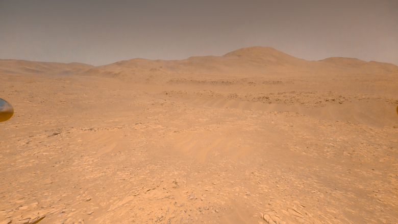 A photo taken by the Perseverance Mars rover on the planet's surface.