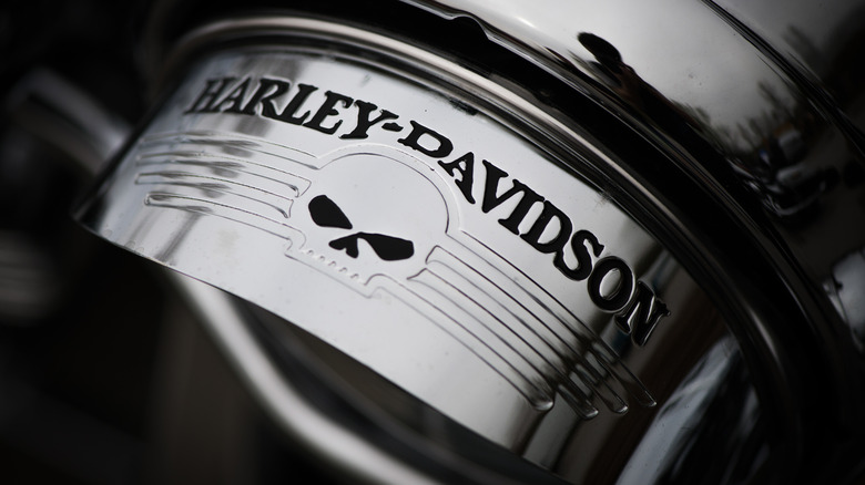 The Willie G logo on chrome with the words "Harley-Davidson" written over it.