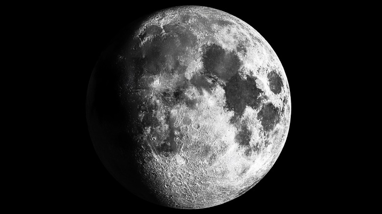 Earth's moon, in black and white against a starless background.