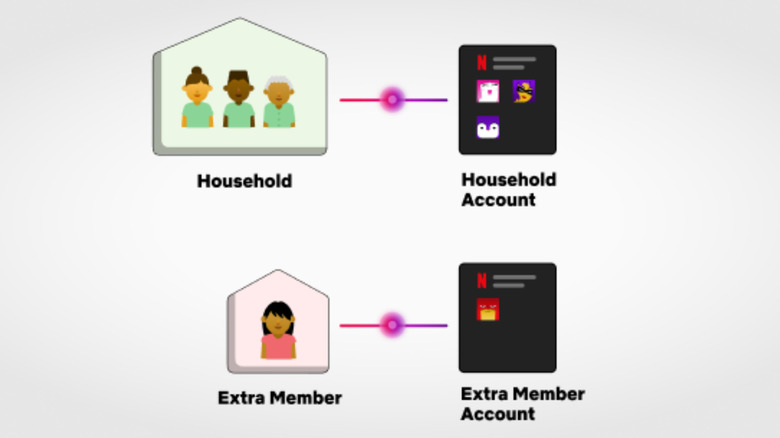 graphic showing what a Netflix extra member account looks like