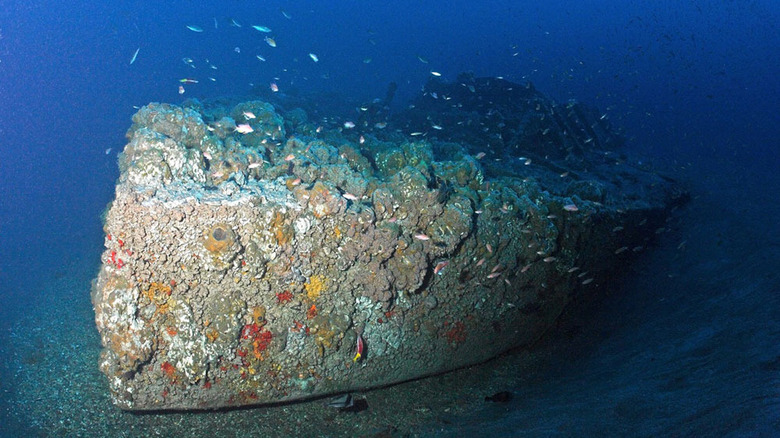 Nineteenth century shipwreck