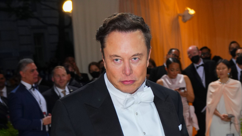 Elon Musk at Met Gala