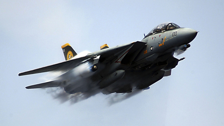 F-14 Tomcat with wings swept back