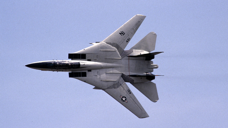 F-14 Tomcat