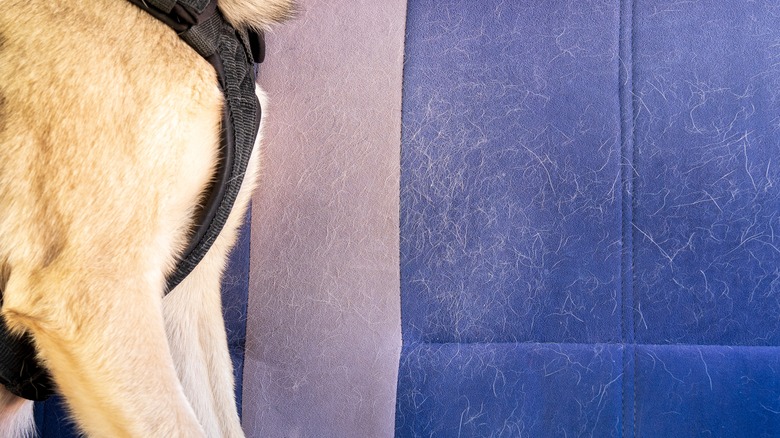 Dog hair car seat