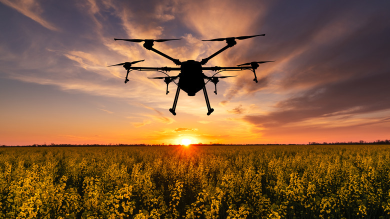 Drone at sunset