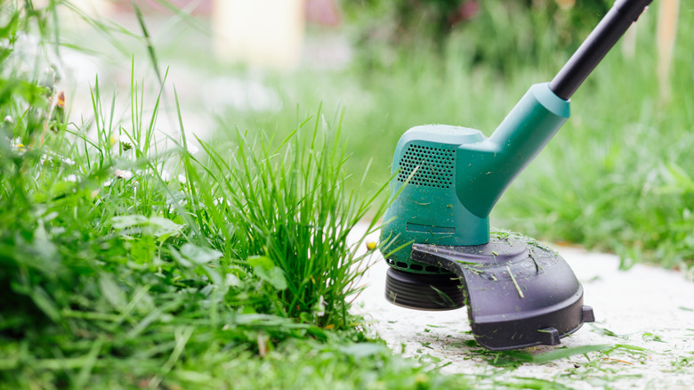 grass trimmer cutting high grass