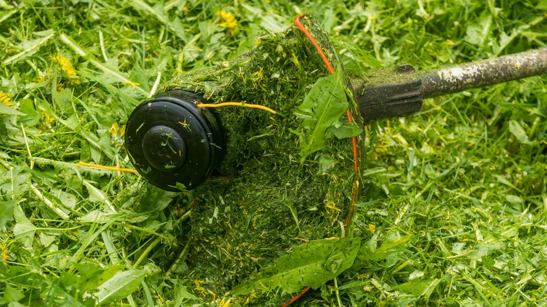 A Damaged Trimmer On Its Side