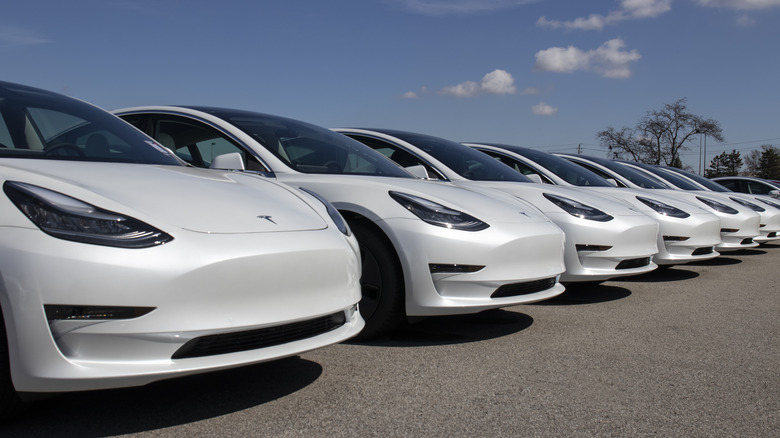 fleet of white Teslas