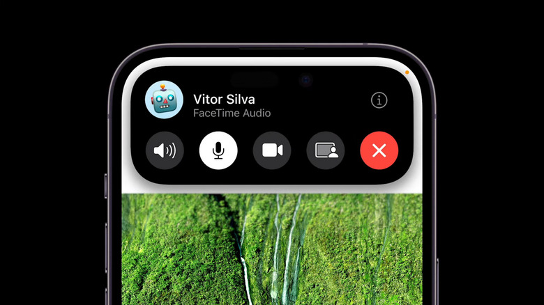 Dynamic Island iPhone FaceTime controls