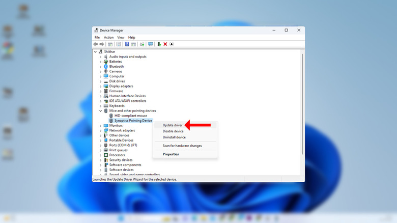 update driver screen in Device Manager