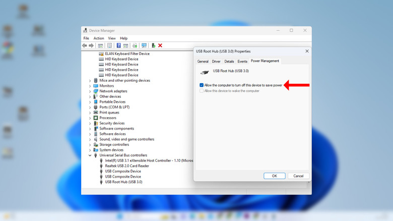 USB Root Hub power management