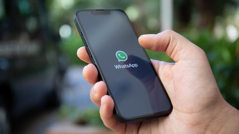 WhatsApp spash screen on a smartphone.