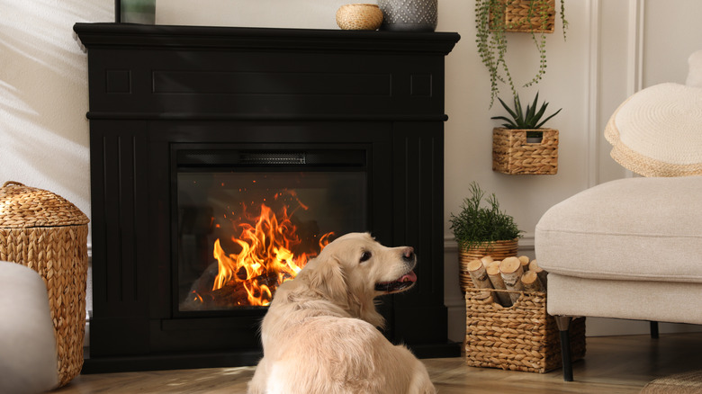 fireplace dog house