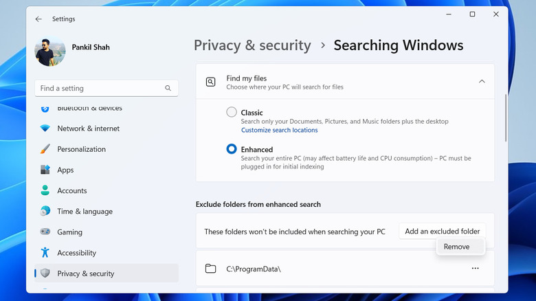 Windows 11 search settings