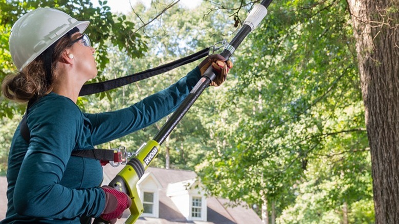 Someone using a 18V ONE+ 8 Pole Saw