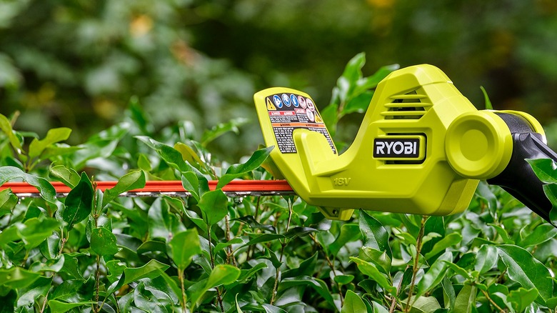 A Ryobi pole saw hedge trimmer.