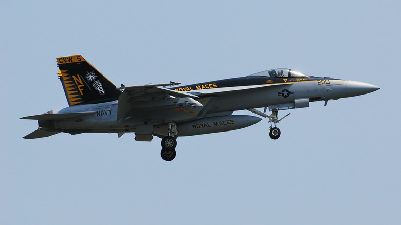 A Boeing F/A-18E/F Super Hornet cruising