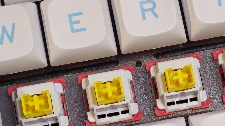 Close up of Nimbus switches on LeoBog Hi75