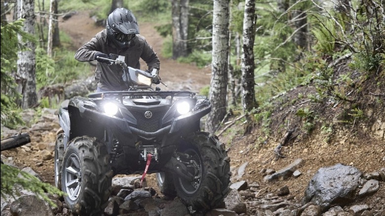 2025 Yamaha Grizzly ATV