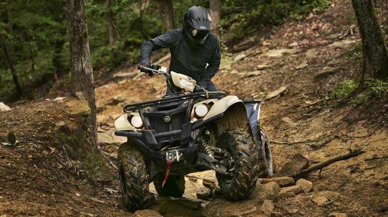 2025 Yamaha Kodiak ATV