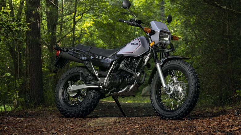 Yamaha TW200 in the woods